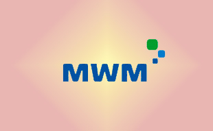 ✓ MWM 0336 6389 Запчасть MWM 